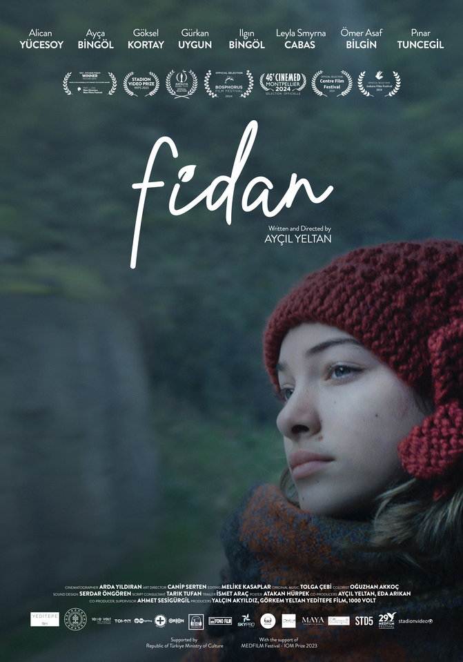 fidan anglais
