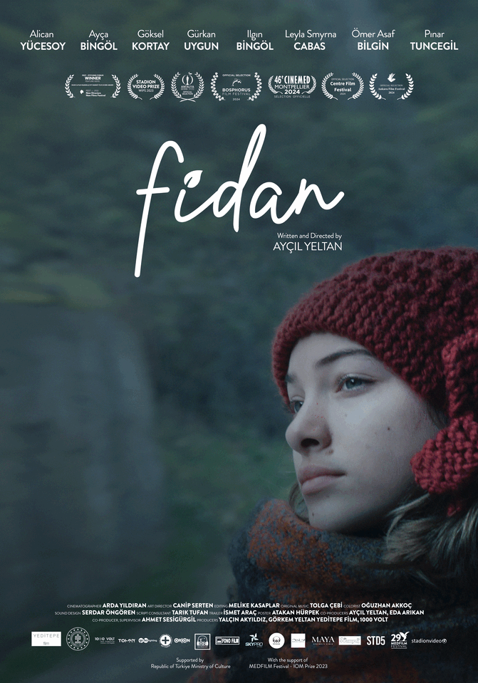 fidan anglais fidan anglais